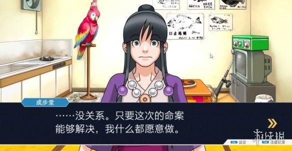 印度一桩九年前的杀人案，因为一只神探鹦鹉重见天日