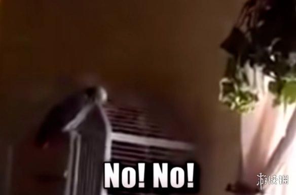 印度一桩九年前的杀人案，因为一只神探鹦鹉重见天日