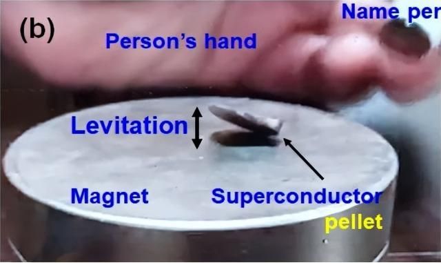 原来我们生活在《阿凡达》的世界里吗？