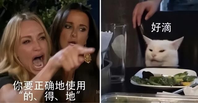 发现“的地得”可以混用后，网友们对此吵翻天了……