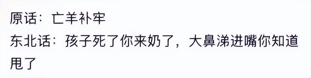 因为&#34;大盘鸡馕言文&#34;太过抽象，全网都开始学起了新疆话？