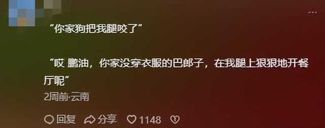 因为&#34;大盘鸡馕言文&#34;太过抽象，全网都开始学起了新疆话？