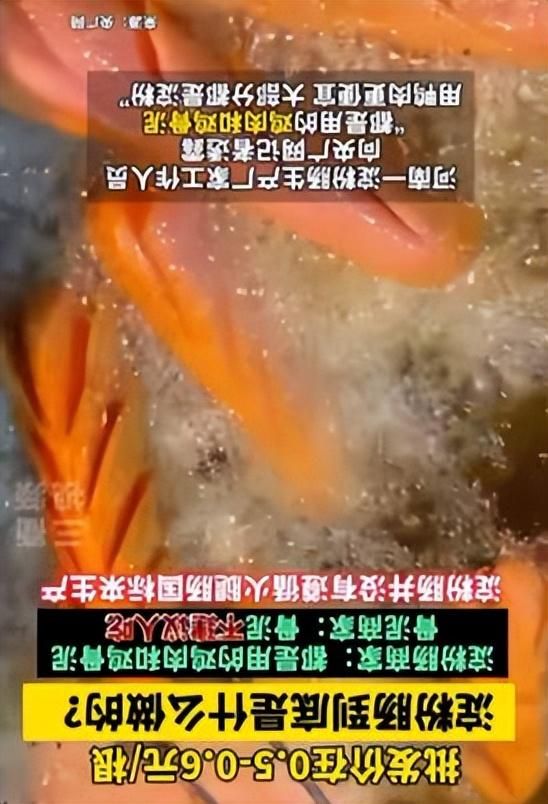 因为315曝光而“塌房”的淀粉肠，其实是个“冤案”？