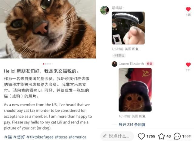 因为洋抖被禁，老外&#34;赛博难民&#34;们挤到小红书来玩抽象了？