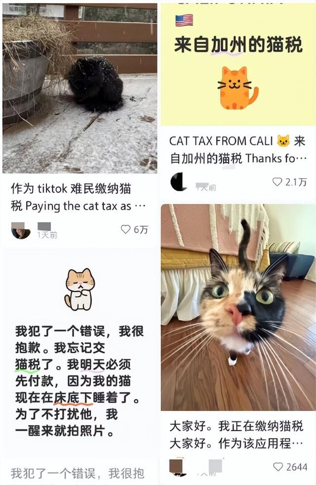 因为洋抖被禁，老外&#34;赛博难民&#34;们挤到小红书来玩抽象了？