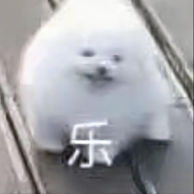 在外卖APP上当“赛博判官”,笑到嘴抽筋