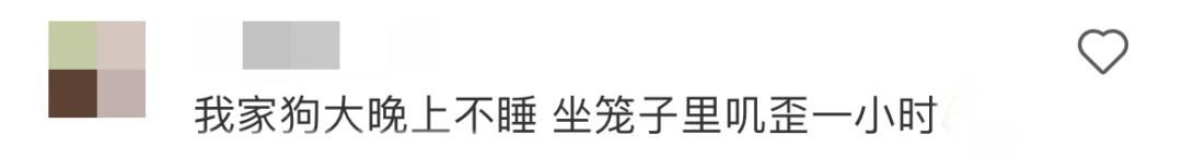 大伙找到了不用上班的终极答案，叫“大地磁暴”
