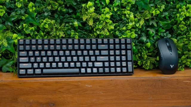 大手型、无线充、160小时超长续航：雷柏V200W鼠标评测