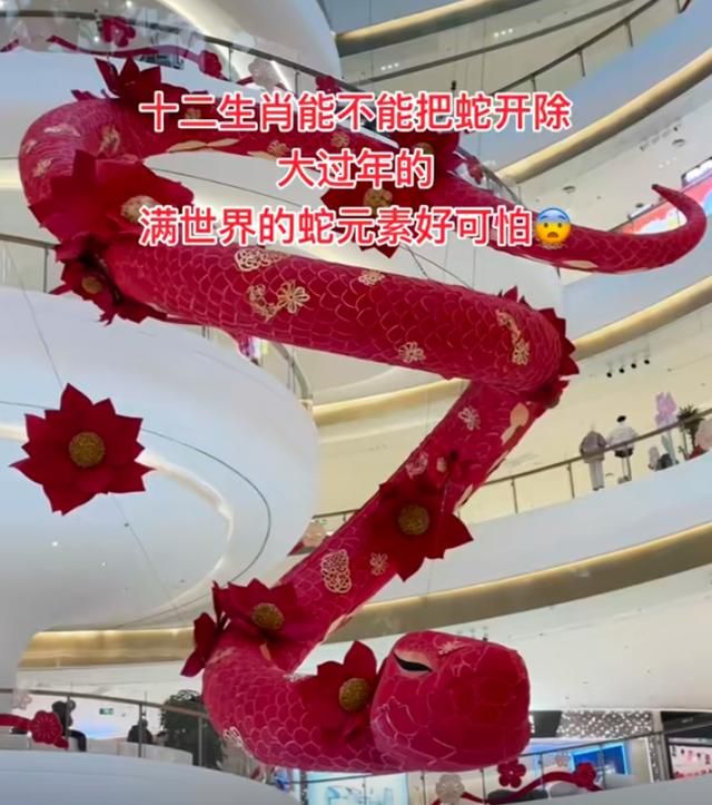 好端端过个蛇年，怎么所有怕蛇的人都要把它踢出十二生肖？