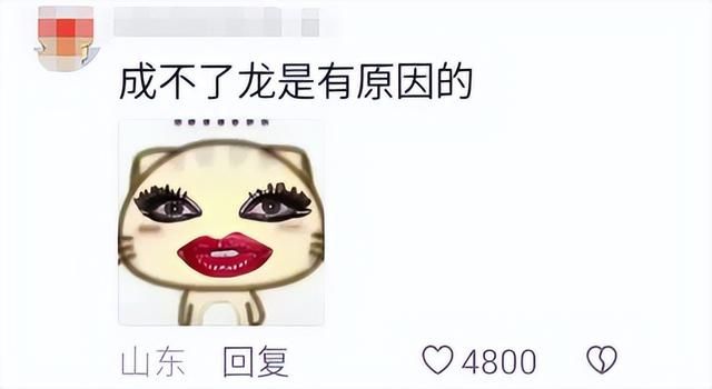 好端端过个蛇年，怎么所有怕蛇的人都要把它踢出十二生肖？