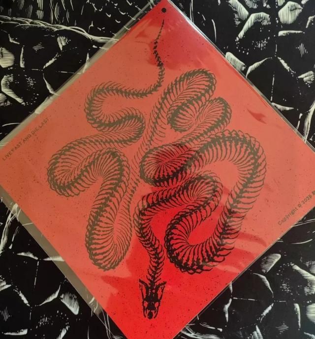 好端端过个蛇年，怎么所有怕蛇的人都要把它踢出十二生肖？