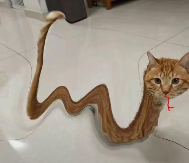 好端端过个蛇年，怎么所有怕蛇的人都要把它踢出十二生肖？