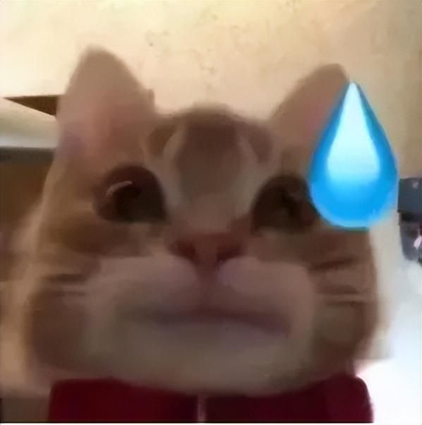 年度好笑+1，学校5万采购的宣泄仪，结果是快20年前的游戏机？