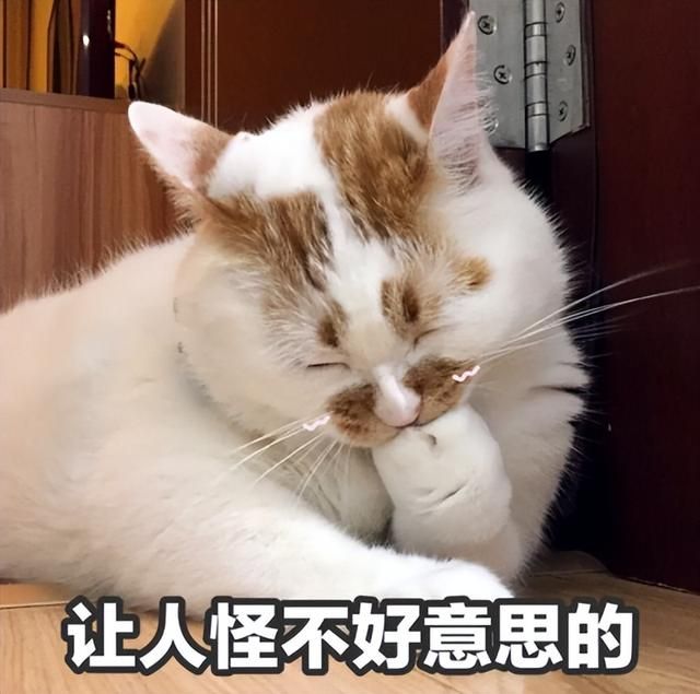 年度好笑+1，学校5万采购的宣泄仪，结果是快20年前的游戏机？