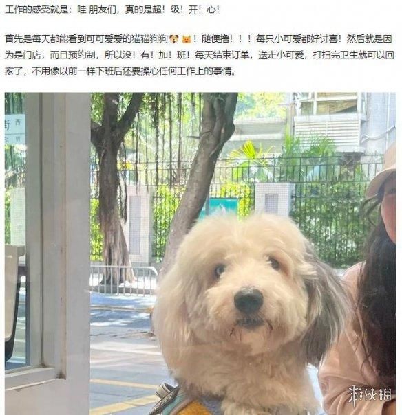 怎么一夜之间,打工人都开始转行卖烤肠了?