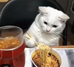 才几日不见，AI做的视频就已经“究极进化”成这样了？