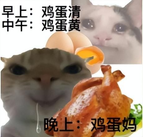 抖音上的逆天&#34;看图说话&#34;，让我找到了当大力王的快乐