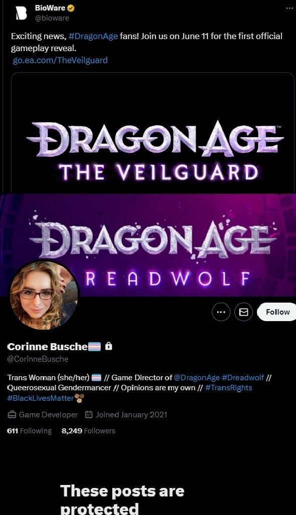 担心影响《龙腾世纪 影障守护者》销量 制作人隐藏简介lgbt身份