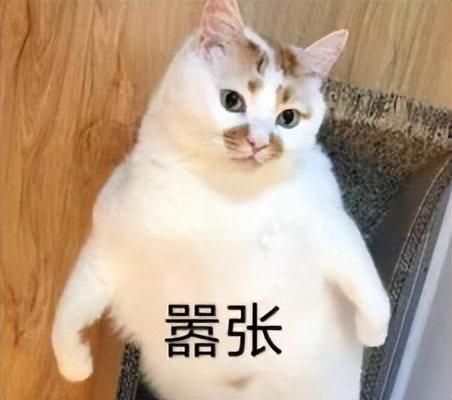 每个生活不如意的中年社畜,都该试试在洗澡时吃橙子