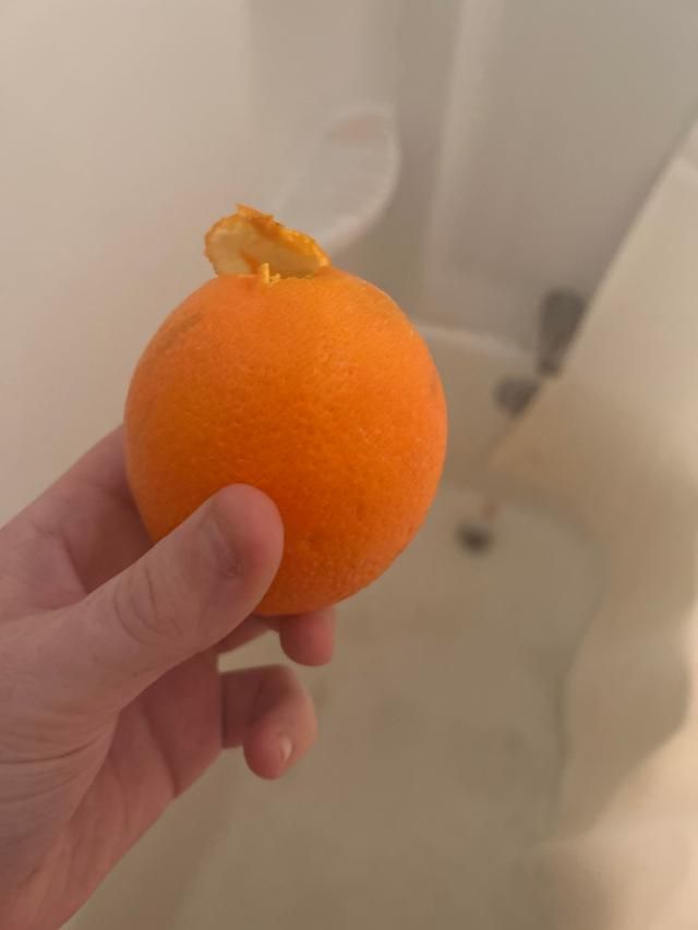 每个生活不如意的中年社畜,都该试试在洗澡时吃橙子