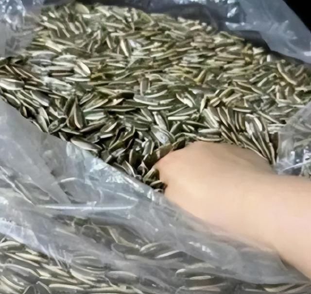 游戏还没发售,《昭和米国物语》怎么就和"币圈诈骗"扯上关系了?