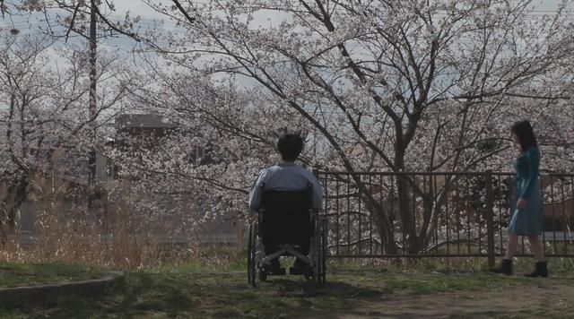 用岛国小电影制作的流行歌MV，展示着成人片导演最深沉的浪漫