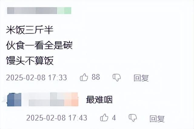 继日本人学习伪中国语之后，国内网友开始用&#34;俳句&#34;发言了？