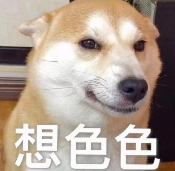 贴吧绅士们又被诈尸复活的《堕落玩偶》玩弄了