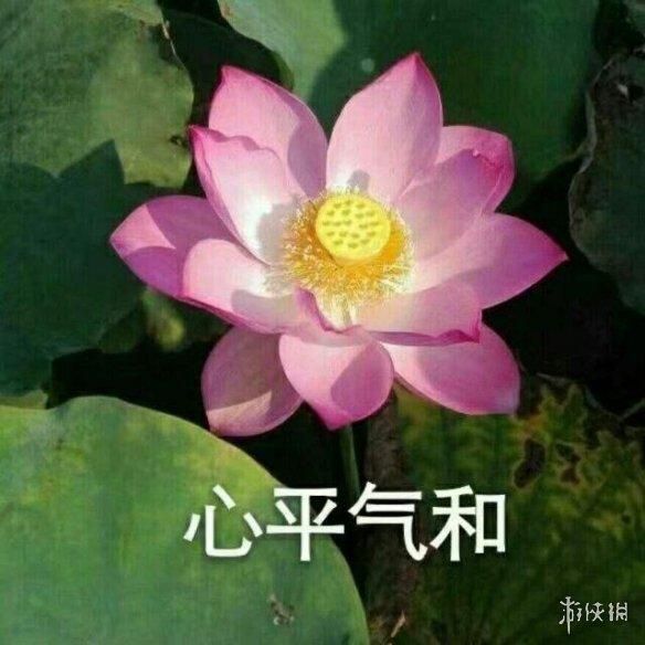 这届小学生,在兴趣爱好这一块算是玩明白了