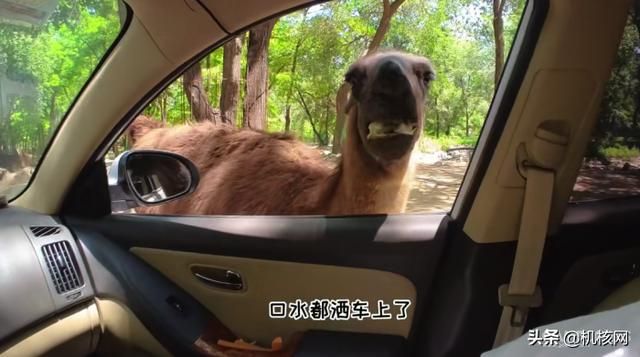 2021办公室的各位都买到了什么好东西?明年又有什么消费计划呢?