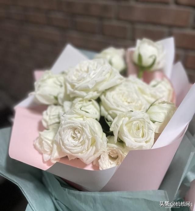 2021办公室的各位都买到了什么好东西?明年又有什么消费计划呢?