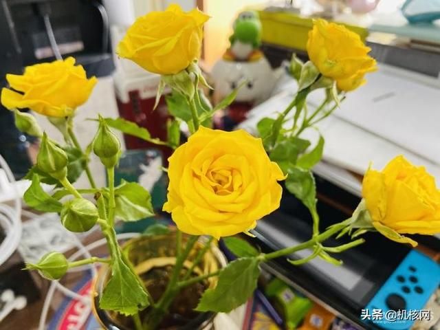 2021办公室的各位都买到了什么好东西?明年又有什么消费计划呢?