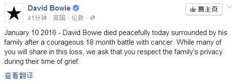 David Bowie去世了，小岛今晚会梦见他吗