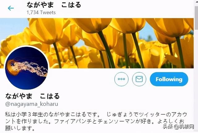 “温暖的电影院”：对《炎拳》的认识