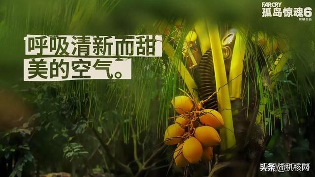 《孤岛惊魂6》:值得一去的雅拉之旅