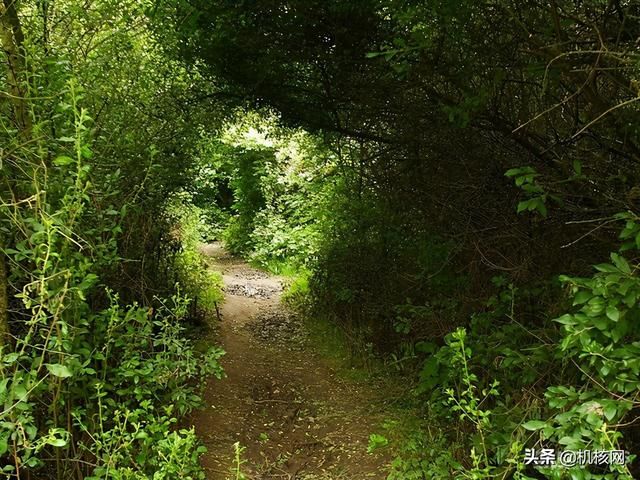 《指环王》重映之际,再谈一谈幻想作品