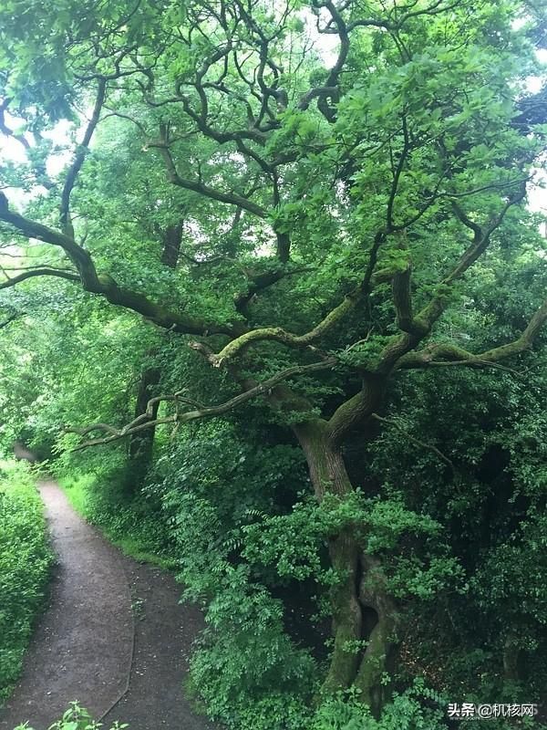 《指环王》重映之际,再谈一谈幻想作品