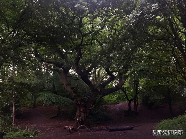 《指环王》重映之际,再谈一谈幻想作品