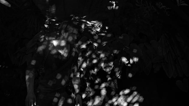 《神秘海域4》专业技巧教你玩摄影