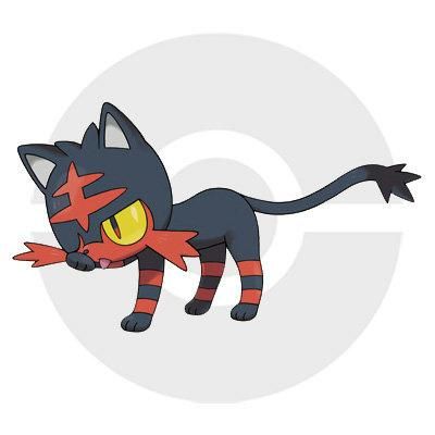 《精灵宝可梦 日月》11月18日发售