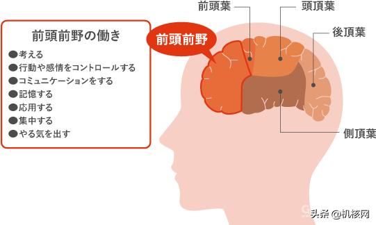 从“知育玩具”到千万级销量，带你了解十多年前的“爆款网红”