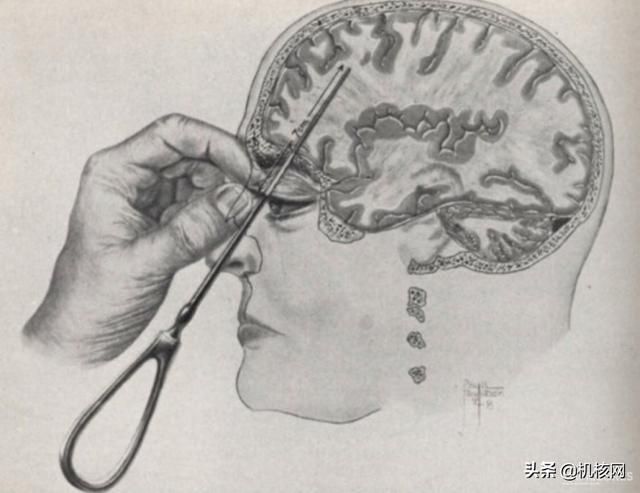 从“知育玩具”到千万级销量，带你了解十多年前的“爆款网红”