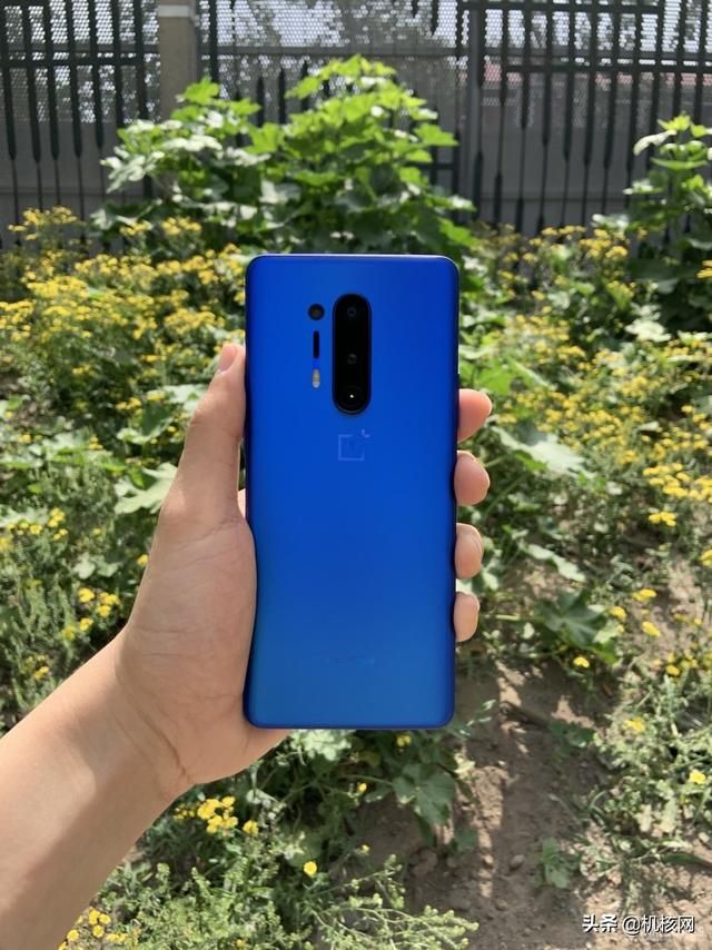 从一加7T再到一加8Pro，聊聊我转投安卓阵营后日渐“真香”的体验