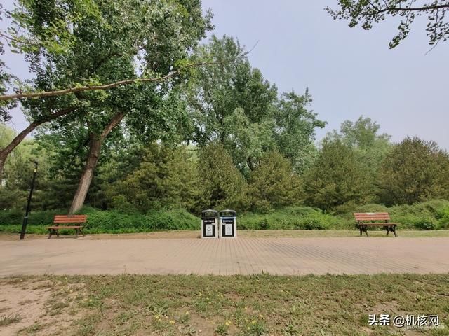 从一加7T再到一加8Pro，聊聊我转投安卓阵营后日渐“真香”的体验