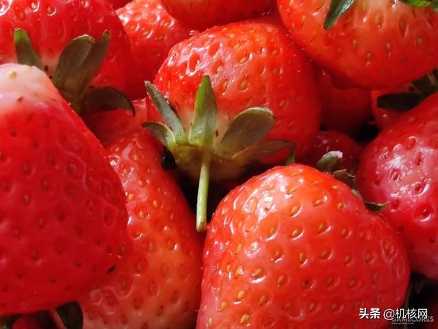 从一加7T再到一加8Pro，聊聊我转投安卓阵营后日渐“真香”的体验