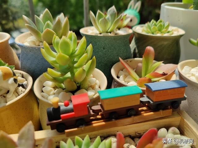 从一加7T再到一加8Pro，聊聊我转投安卓阵营后日渐“真香”的体验