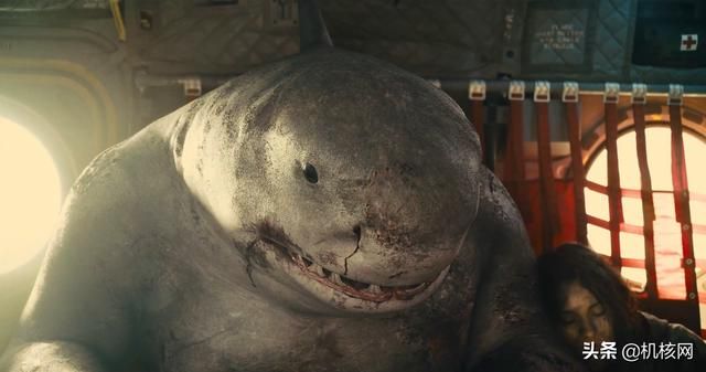 从海中猛兽到陆地萌兽：鲨鱼王纳纳威的成名之路