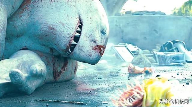 从海中猛兽到陆地萌兽：鲨鱼王纳纳威的成名之路