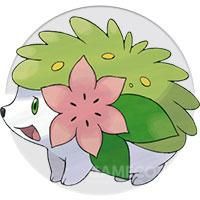 写给宝可梦20周年--珍珠钻石篇