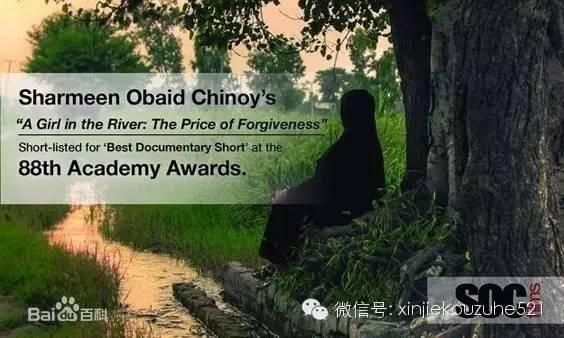 分享！2016年《第88届奥斯卡获奖作品合集》下载！海报+剧情全介绍！